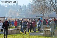 Velden Neujahrschwimmen im Casino Bad 12  Foto Hermann Sobe